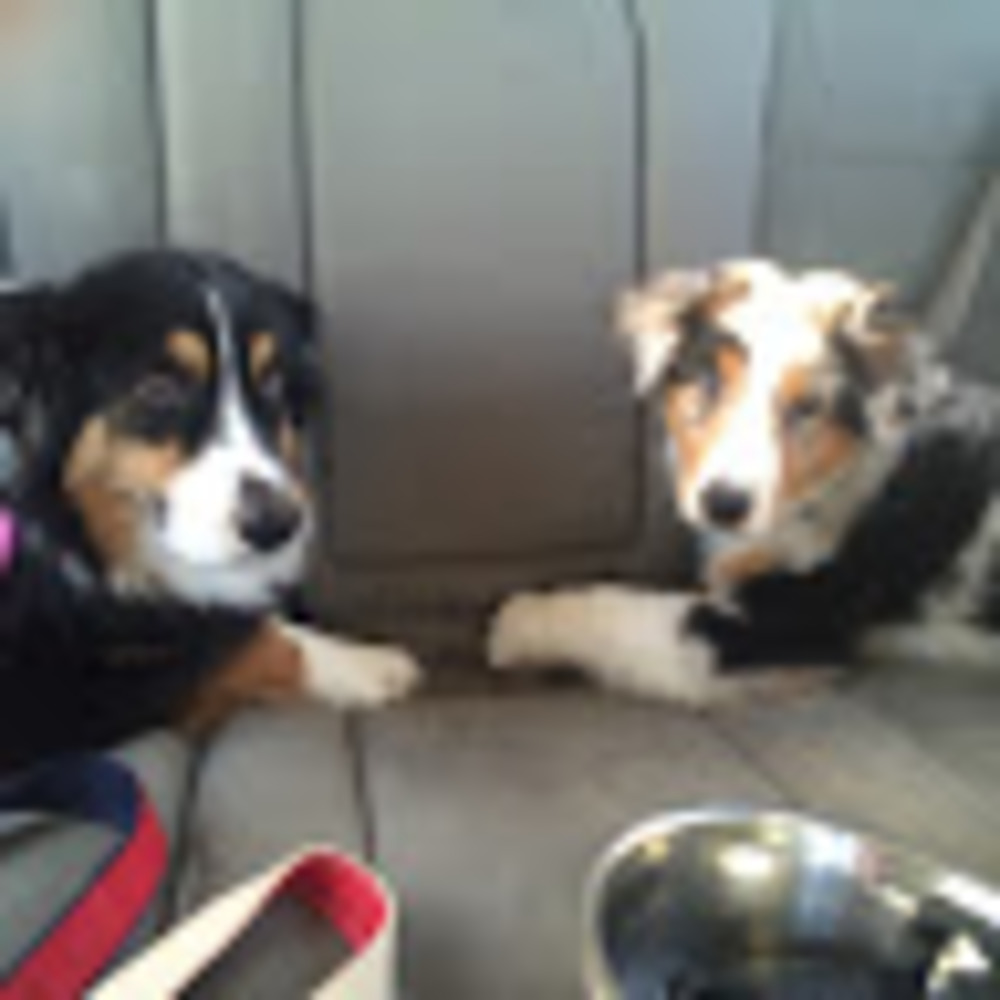 Meet your Posher, Julia